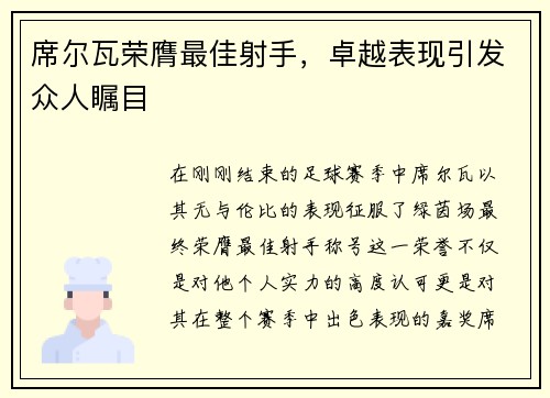 席尔瓦荣膺最佳射手，卓越表现引发众人瞩目