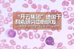 “开云集团”德国于利希研究中心研发快充固态电池不到一小时完成充电(图2) 开云体育