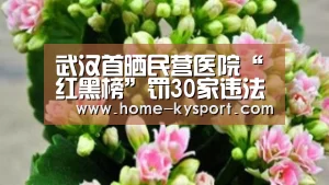 武汉首晒民营医院“红黑榜”罚30家违法医院【开云】(图1) 开云体育