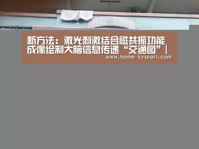 新方法:激光刺激结合磁共振功能成像绘制大脑信息传递“交通图”|开云体育(图2) 新方法:激光刺激结合磁共振功能成像绘制大脑信息传递“交通图”|开云体育(图2)